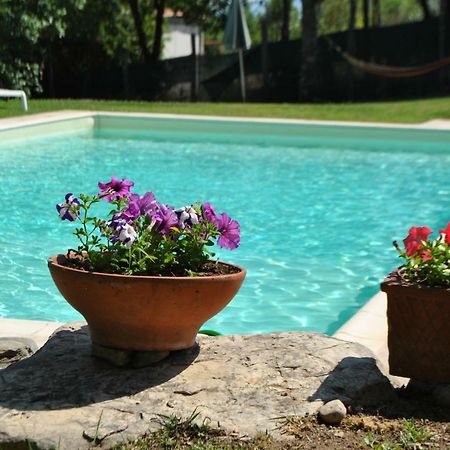 A Casa Di Giulia Διαμέρισμα Σιένα Εξωτερικό φωτογραφία